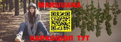 apvp Нальчик