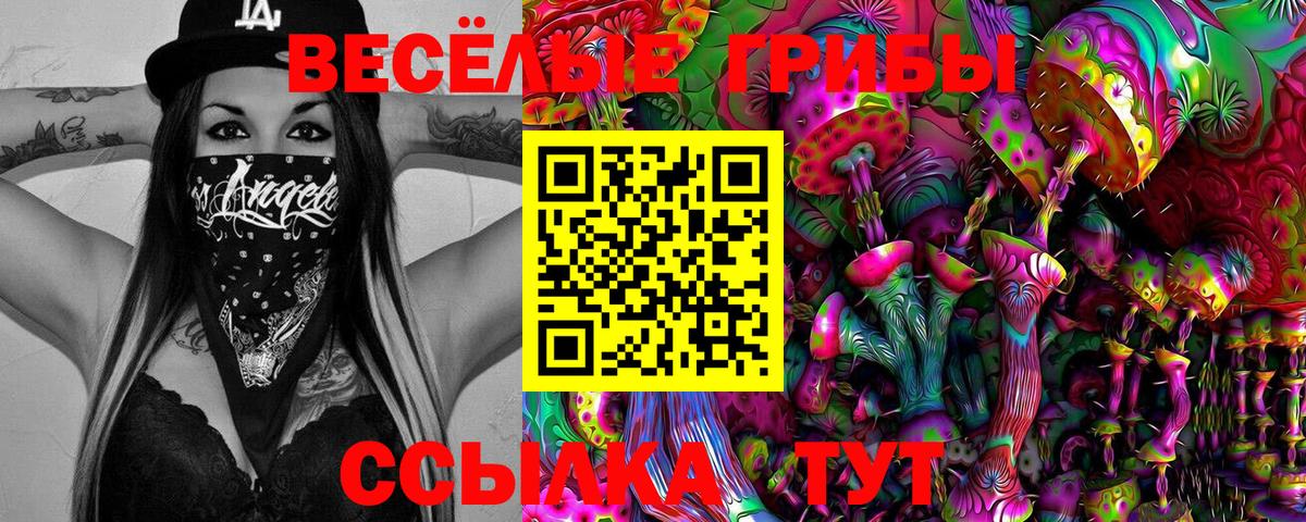 Галлюциногенные грибы GOLDEN TEACHER Тихвин