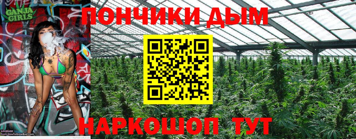 Бошки Шишки планчик  Каннабис White Widow  Шишки марихуана сатива  Вход с VPN  Тихвин 